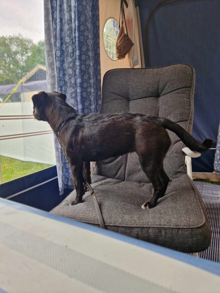 Håller vakt så att alla sköter sig.