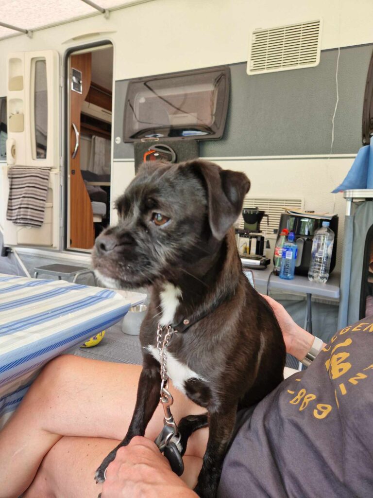 Sitter och myser i mammas knä i förtältet.