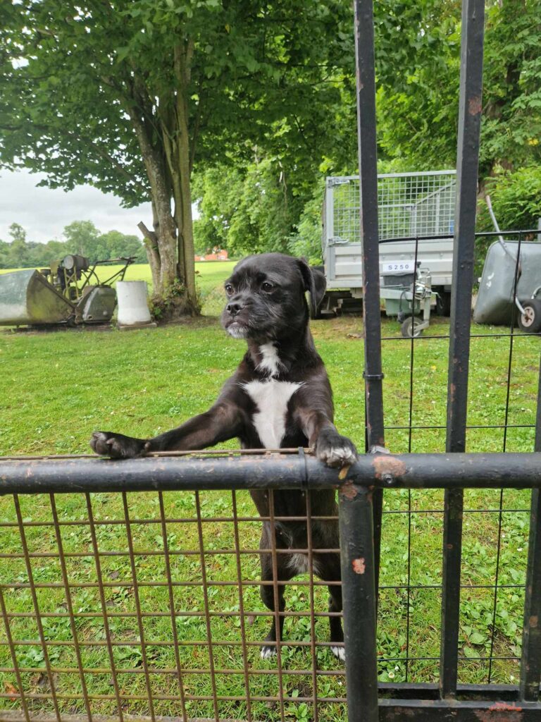 Signe håller stenkoll på packningen så att inget glöms.