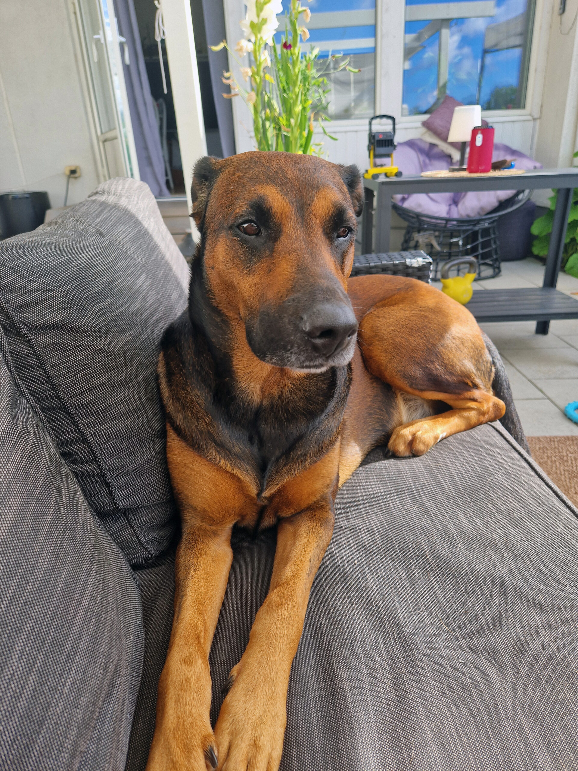 Vem är egentligen den där Selma?