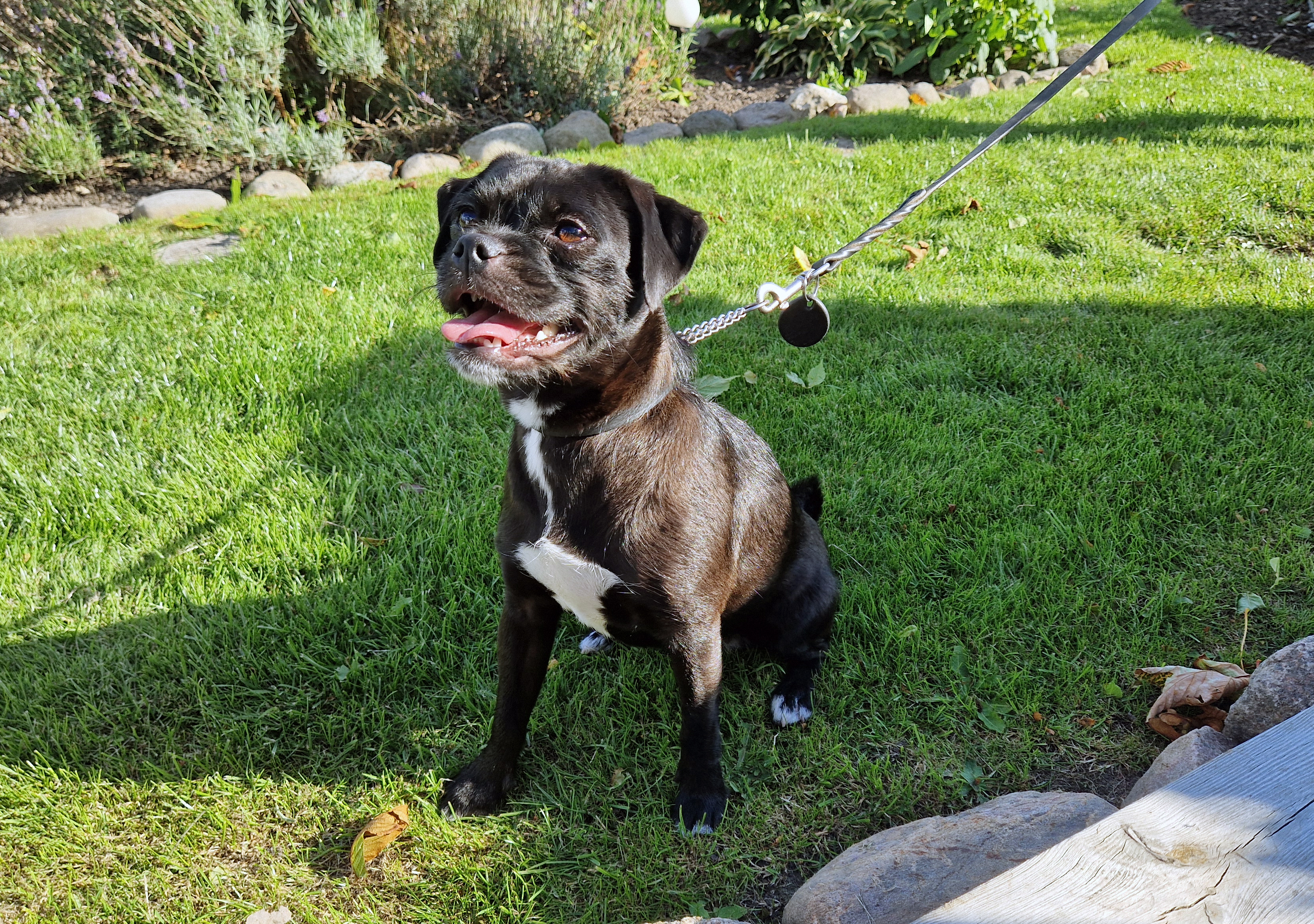 En slapp och skön söndag