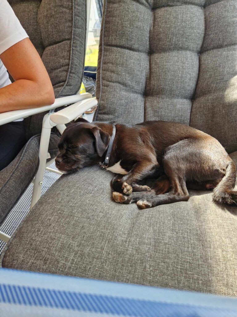 Signe har hittat sin plats. 