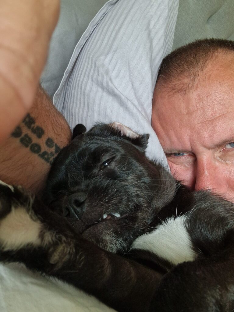 Omslagsbild till något metal-band.