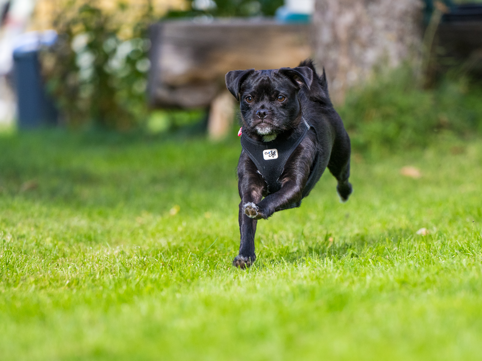 Så har vi nåt september