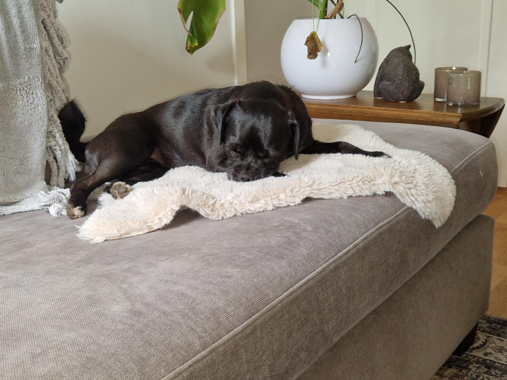 Alla tester visar ”GRÖNT LJUS”