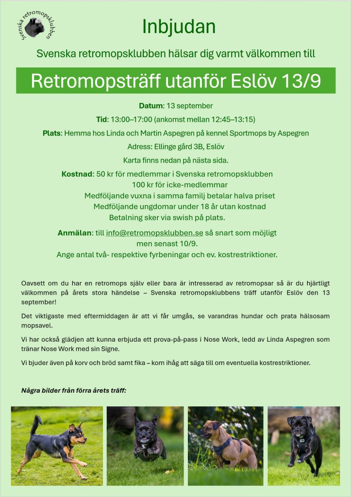 Retromopsträff i Eslöv – 2025.09.13